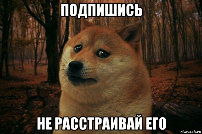 подпишись не расстраивай его, Мем SAD DOGE