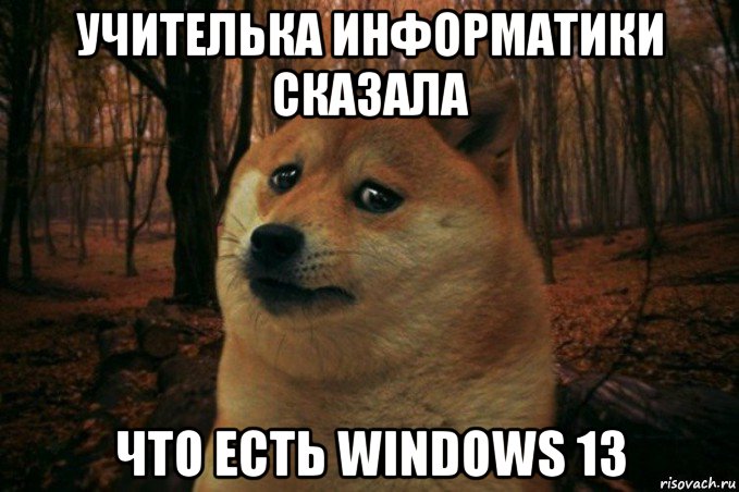 учителька информатики сказала что есть windows 13, Мем SAD DOGE