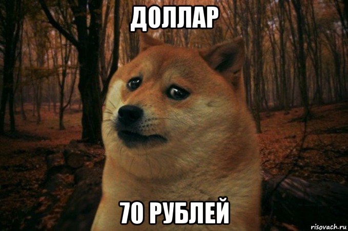 доллар 70 рублей, Мем SAD DOGE