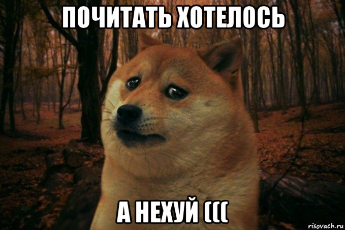 почитать хотелось а нехуй (((, Мем SAD DOGE