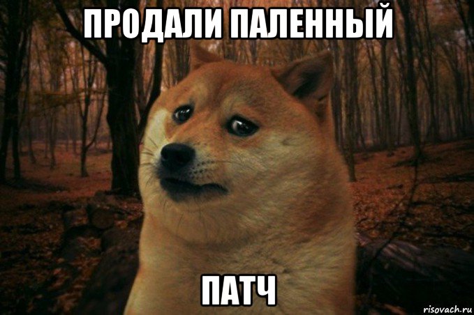 продали паленный патч, Мем SAD DOGE