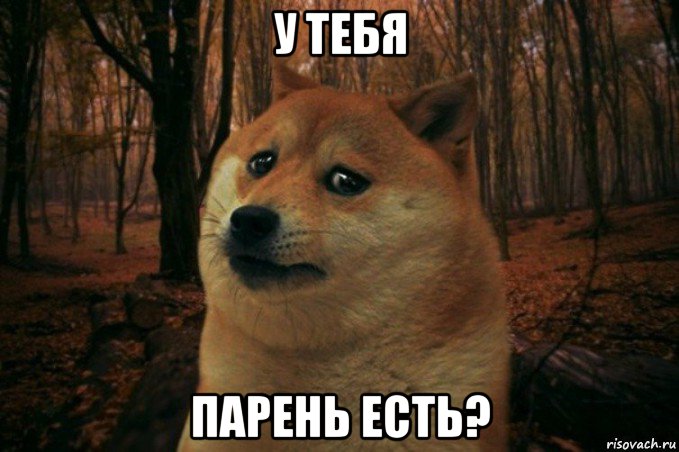 у тебя парень есть?, Мем SAD DOGE