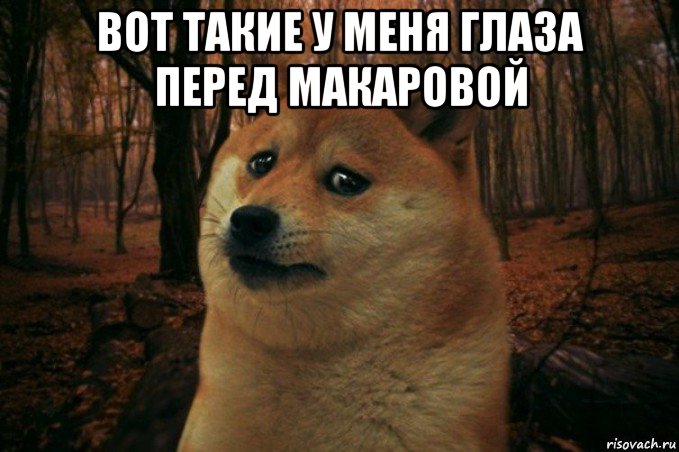 вот такие у меня глаза перед макаровой , Мем SAD DOGE