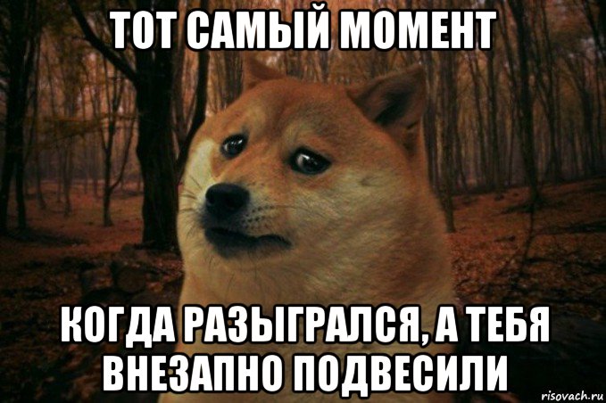 тот самый момент когда разыгрался, а тебя внезапно подвесили, Мем SAD DOGE