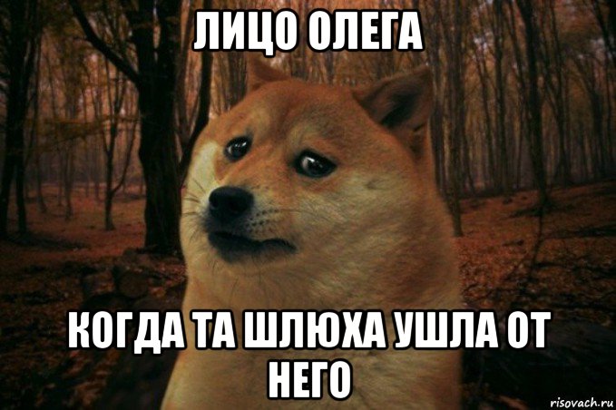 лицо олега когда та шлюха ушла от него, Мем SAD DOGE