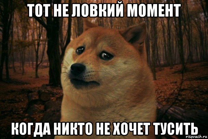 тот не ловкий момент когда никто не хочет тусить, Мем SAD DOGE