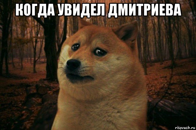 когда увидел дмитриева , Мем SAD DOGE