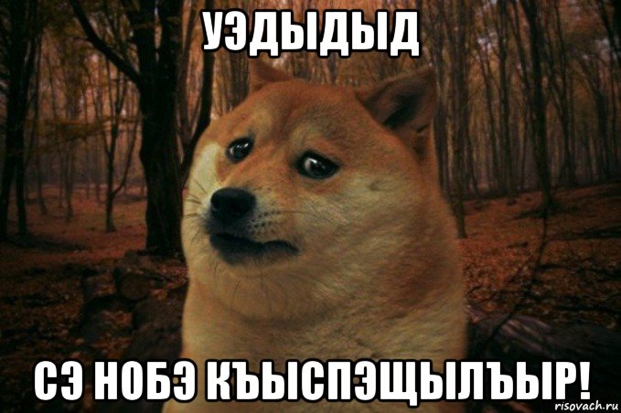 уэдыдыд сэ нобэ къыспэщылъыр!, Мем SAD DOGE