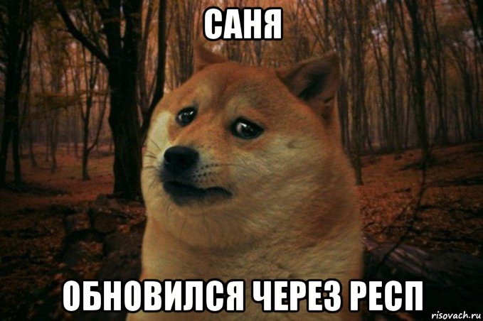 саня обновился через респ, Мем SAD DOGE