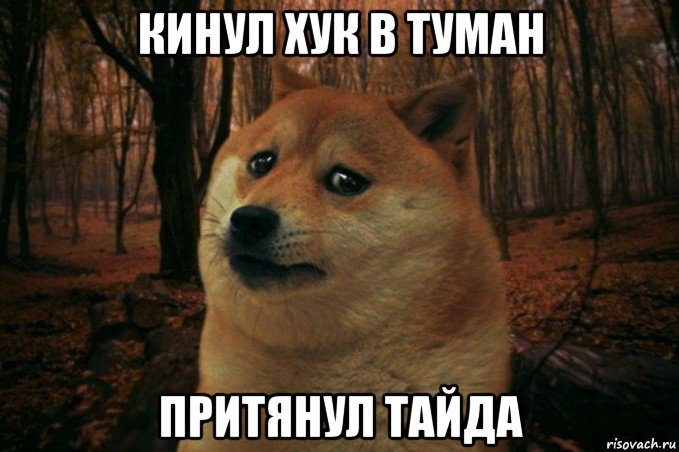 кинул хук в туман притянул тайда, Мем SAD DOGE