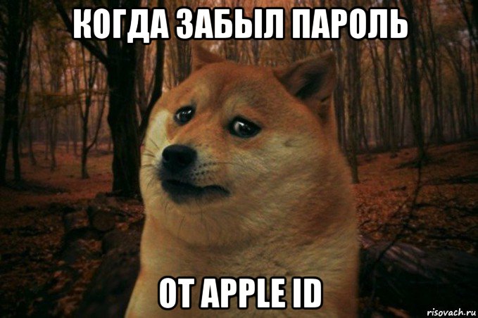 когда забыл пароль от apple id, Мем SAD DOGE