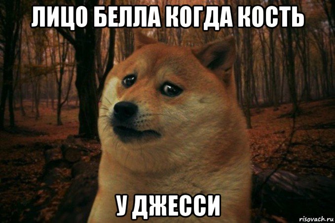 лицо белла когда кость у джесси, Мем SAD DOGE