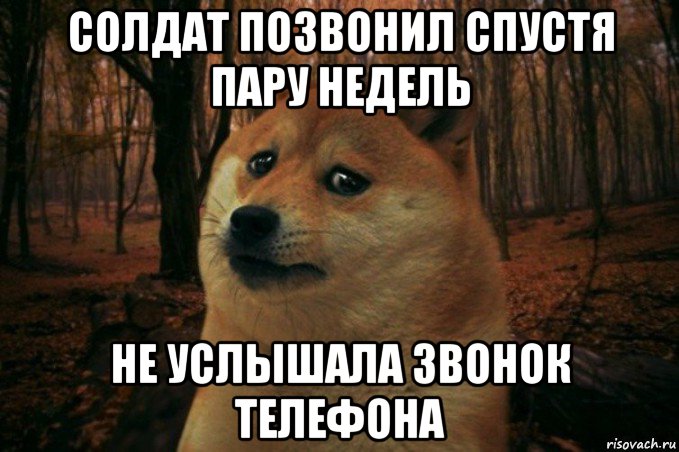 солдат позвонил спустя пару недель не услышала звонок телефона, Мем SAD DOGE