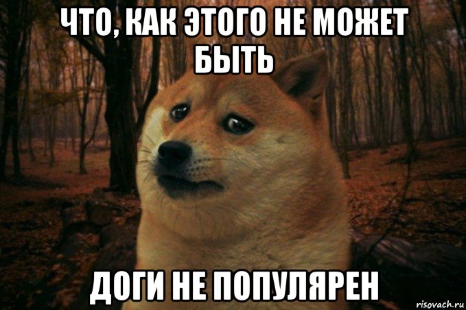 что, как этого не может быть доги не популярен, Мем SAD DOGE