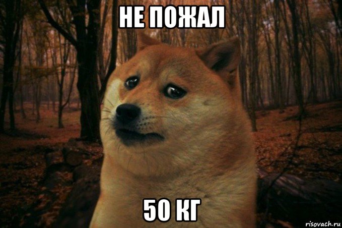 не пожал 50 кг, Мем SAD DOGE