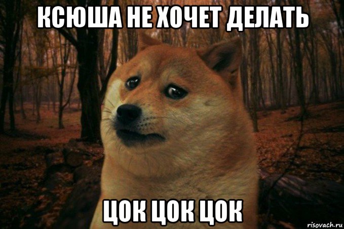 ксюша не хочет делать цок цок цок, Мем SAD DOGE