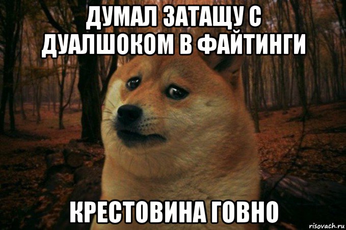 думал затащу с дуалшоком в файтинги крестовина говно, Мем SAD DOGE