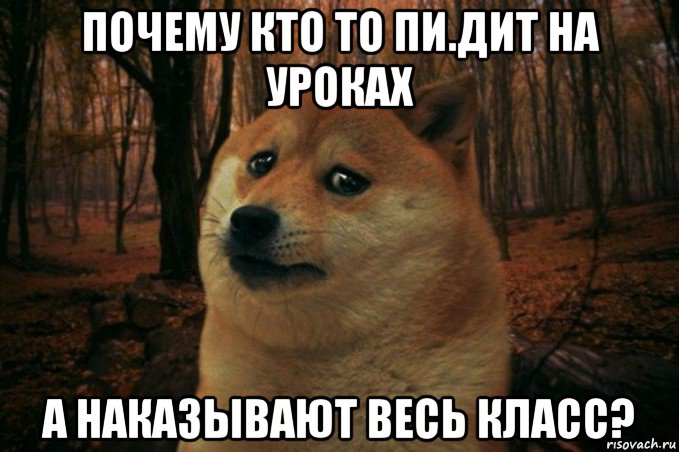 почему кто то пи.дит на уроках а наказывают весь класс?, Мем SAD DOGE