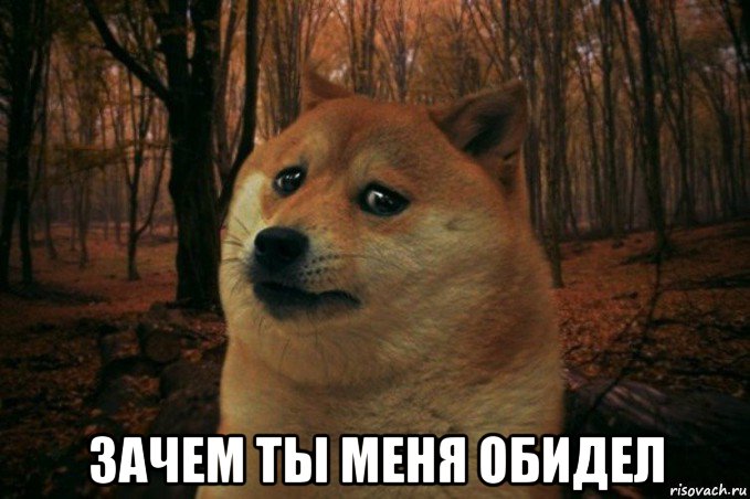  зачем ты меня обидел, Мем SAD DOGE