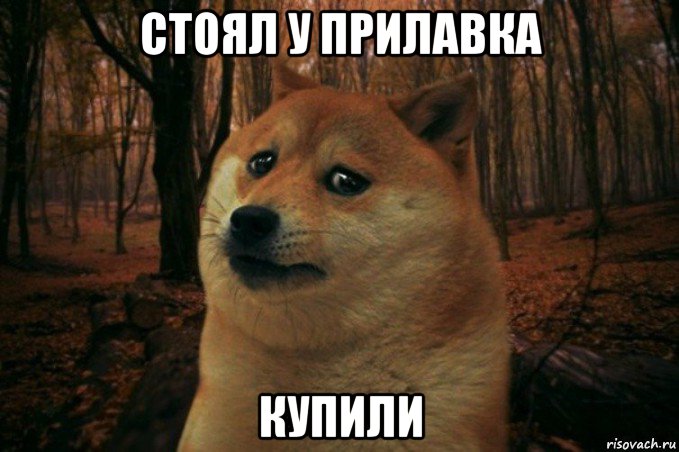 стоял у прилавка купили, Мем SAD DOGE