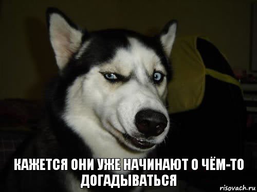 Кажется они уже начинают о чём-то догадываться, Комикс  Собака подозревака