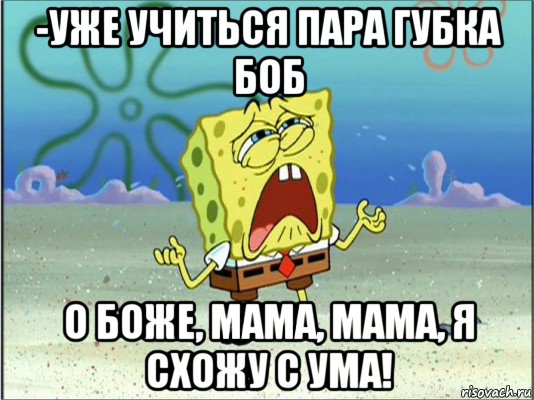 -уже учиться пара губка боб о боже, мама, мама, я схожу с ума!