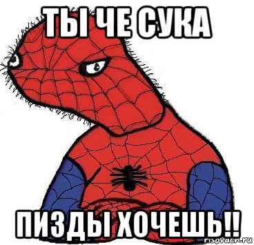 ты че сука пизды хочешь!!