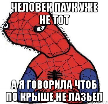 человек паук уже не тот а я говорила чтоб по крыше не лазьел, Мем Спуди