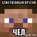 едиственный крутой чел, Мем стив