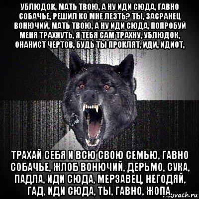 ублюдок, мать твою, а ну иди сюда, гавно собачье, решил ко мне лезть? ты, засранец вонючий, мать твою, а ну иди сюда, попробуй меня трахнуть, я тебя сам трахну, ублюдок, онанист чертов, будь ты проклят, иди, идиот, трахай себя и всю свою семью, гавно собачье, жлоб вонючий, дерьмо, сука, падла, иди сюда, мерзавец, негодяй, гад, иди сюда, ты, гавно, жопа., Мем Сумасшедший волк