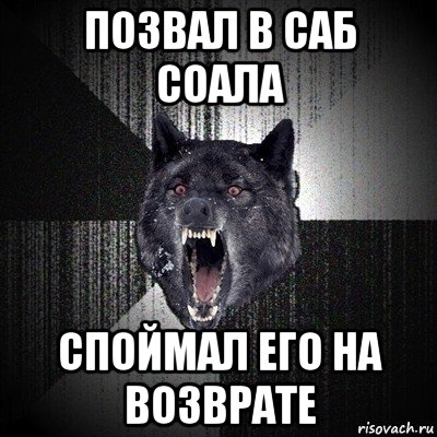 позвал в саб соала споймал его на возврате, Мем Сумасшедший волк