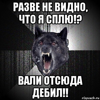 разве не видно, что я сплю!? вали отсюда дебил!!, Мем Сумасшедший волк