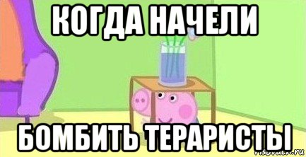 когда начели бомбить тераристы