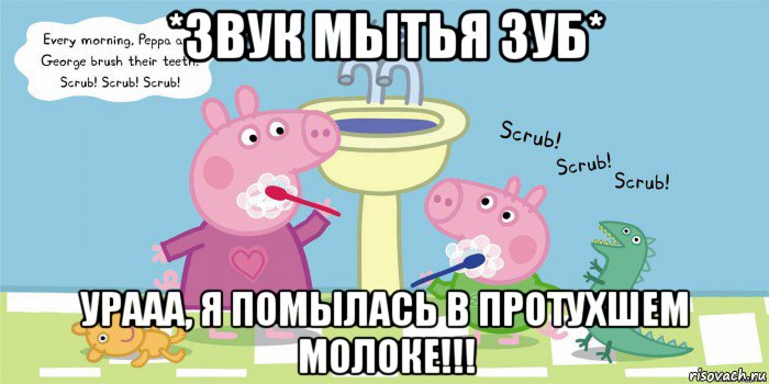 *звук мытья зуб* урааа, я помылась в протухшем молоке!!!, Мем  Свинка