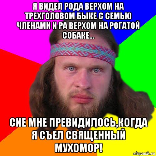 я видел рода верхом на трехголовом быке с семью членами и ра верхом на рогатой собаке... сие мне превидилось,когда я съел священный мухомор!, Мем Типичный долбослав