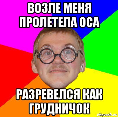 возле меня пролетела оса разревелся как грудничок, Мем Типичный ботан