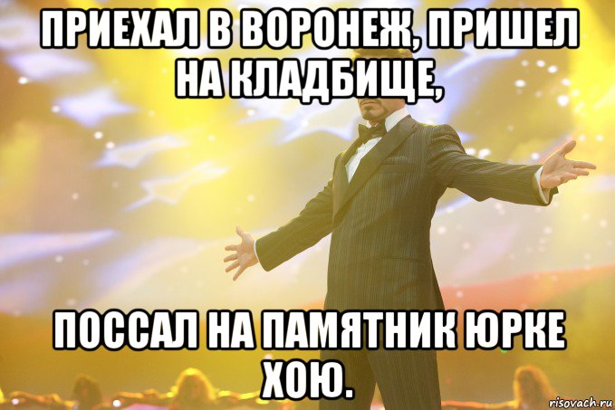 приехал в воронеж, пришел на кладбище, поссал на памятник юрке хою., Мем Тони Старк (Роберт Дауни младший)