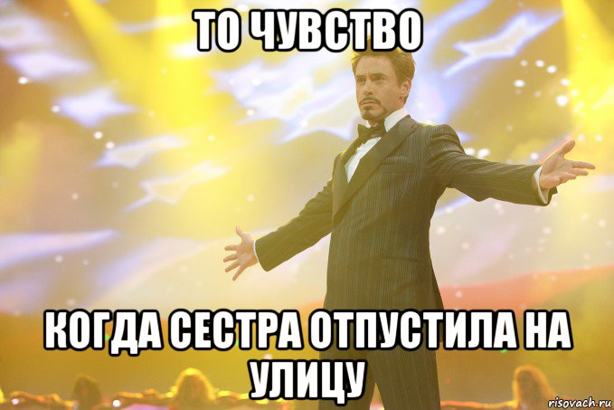 то чувство когда сестра отпустила на улицу, Мем Тони Старк (Роберт Дауни младший)