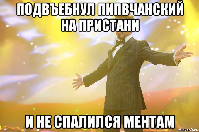 подвъебнул пипвчанский на пристани и не спалился ментам, Мем Тони Старк (Роберт Дауни младший)