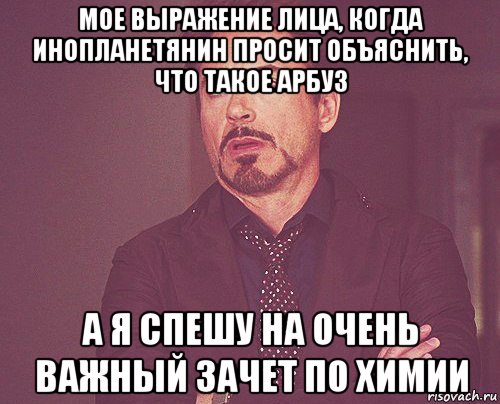 мое выражение лица, когда инопланетянин просит объяснить, что такое арбуз а я спешу на очень важный зачет по химии, Мем твое выражение лица