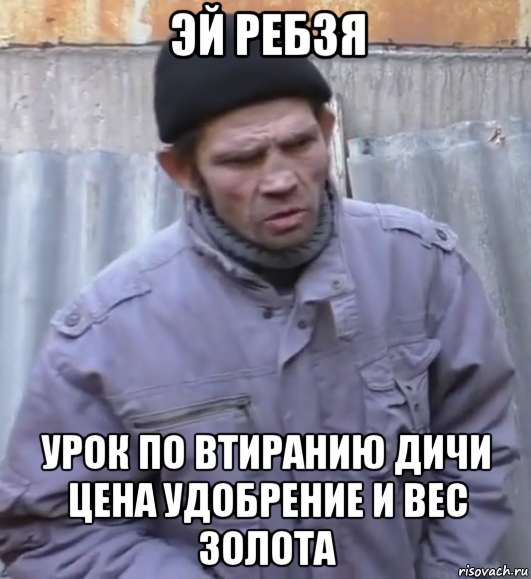 эй ребзя урок по втиранию дичи цена удобрение и вес золота, Мем  Ты втираешь мне какую то дичь