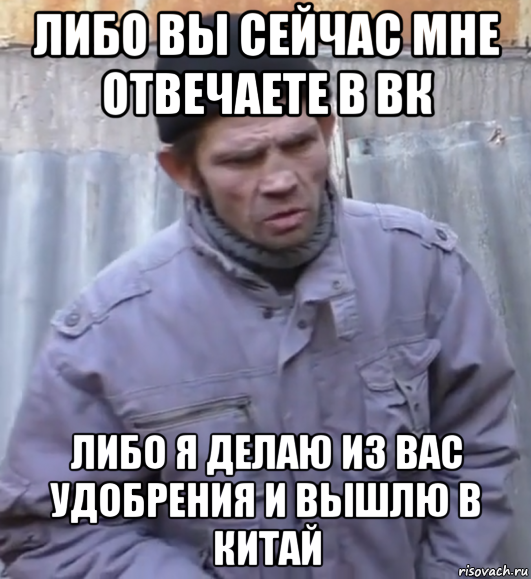 либо вы сейчас мне отвечаете в вк либо я делаю из вас удобрения и вышлю в китай, Мем  Ты втираешь мне какую то дичь