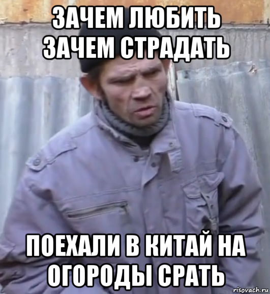 зачем любить зачем страдать поехали в китай на огороды срать, Мем  Ты втираешь мне какую то дичь