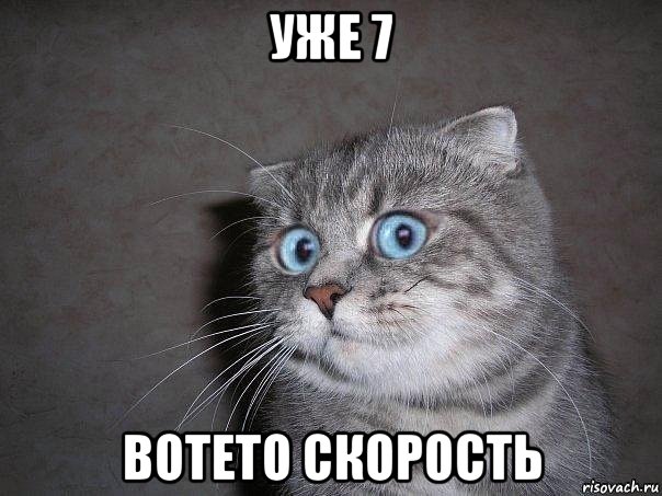 уже 7 вотето скорость, Мем  удивлённый кот