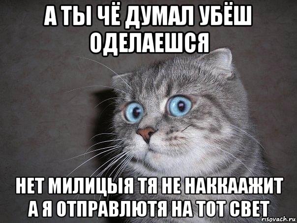 а ты чё думал убёш оделаешся нет милицыя тя не наккаажит а я отправлютя на тот свет, Мем  удивлённый кот