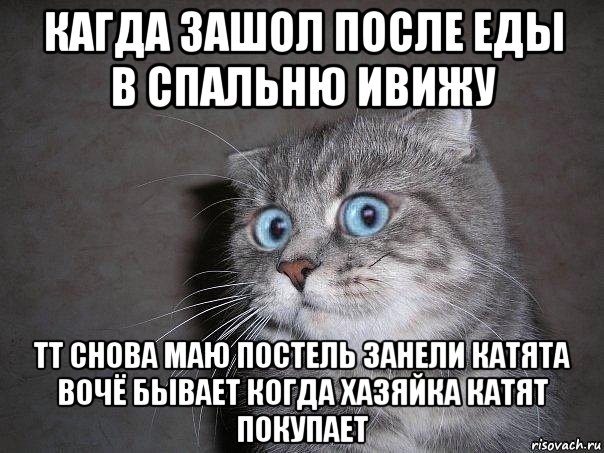 кагда зашол после еды в спальню ивижу тт снова маю постель занели катята вочё бывает когда хазяйка катят покупает, Мем  удивлённый кот