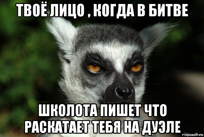 твоё лицо , когда в битве школота пишет что раскатает тебя на дуэле, Мем   Я збагоен