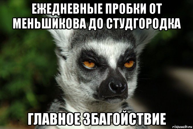 ежедневные пробки от меньшикова до студгородка главное збагойствие, Мем   Я збагоен