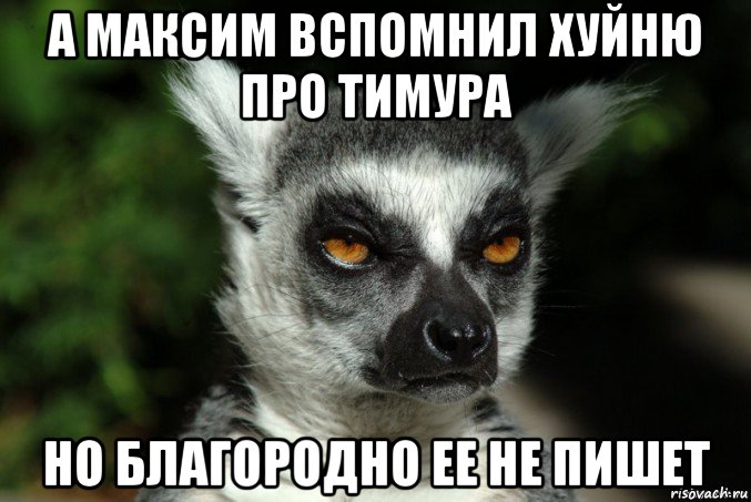 а максим вспомнил хуйню про тимура но благородно ее не пишет, Мем   Я збагоен