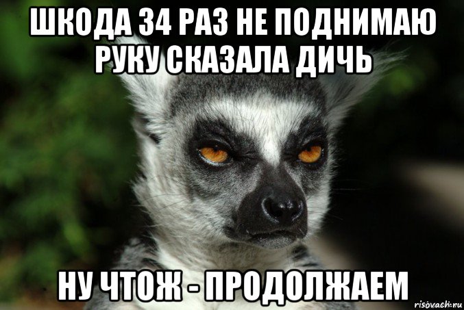 шкода 34 раз не поднимаю руку сказала дичь ну чтож - продолжаем, Мем   Я збагоен